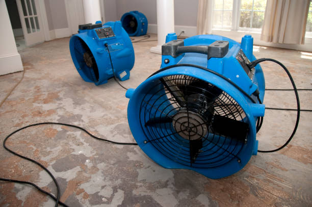 Best Water damage restoration experts  in American Falls, ID