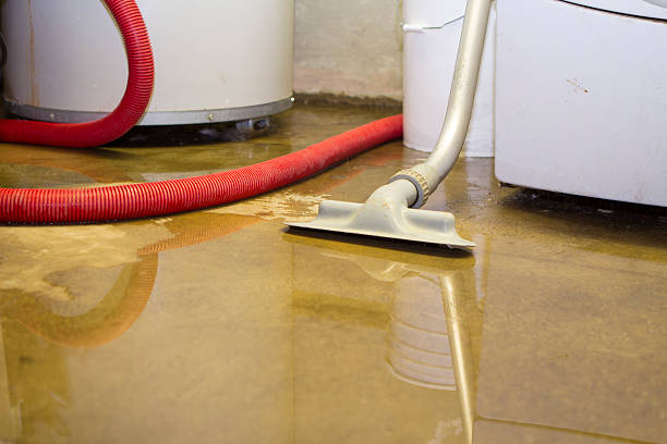 Best Water damage mitigation services  in American Falls, ID