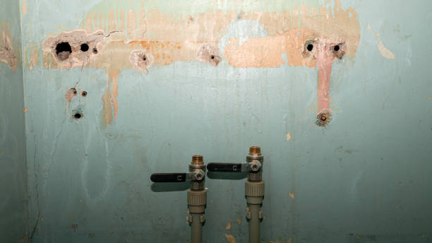 Best 24-hour water damage restoration  in American Falls, ID